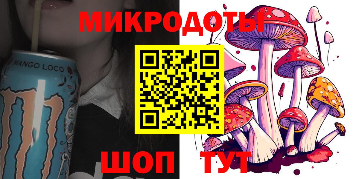 Псилоцибиновые грибы Cubensis Борисоглебск
