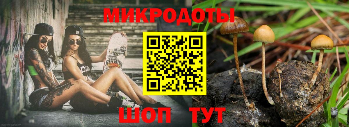 даркнет сайт  Псилоцибиновые грибы GOLDEN TEACHER  Вход с VPN  Борисоглебск  Псилоцибиновые грибы мицелий 